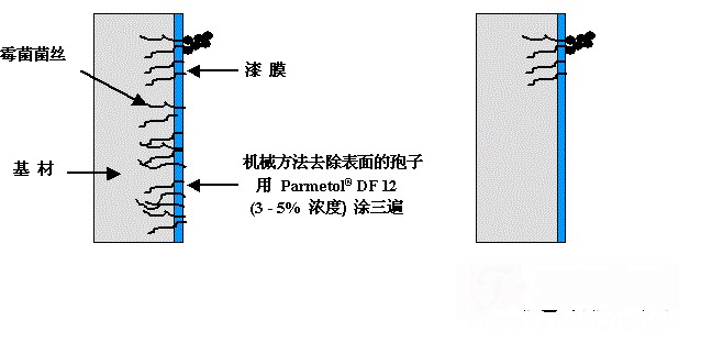 1457488229170774.gif 6.gif