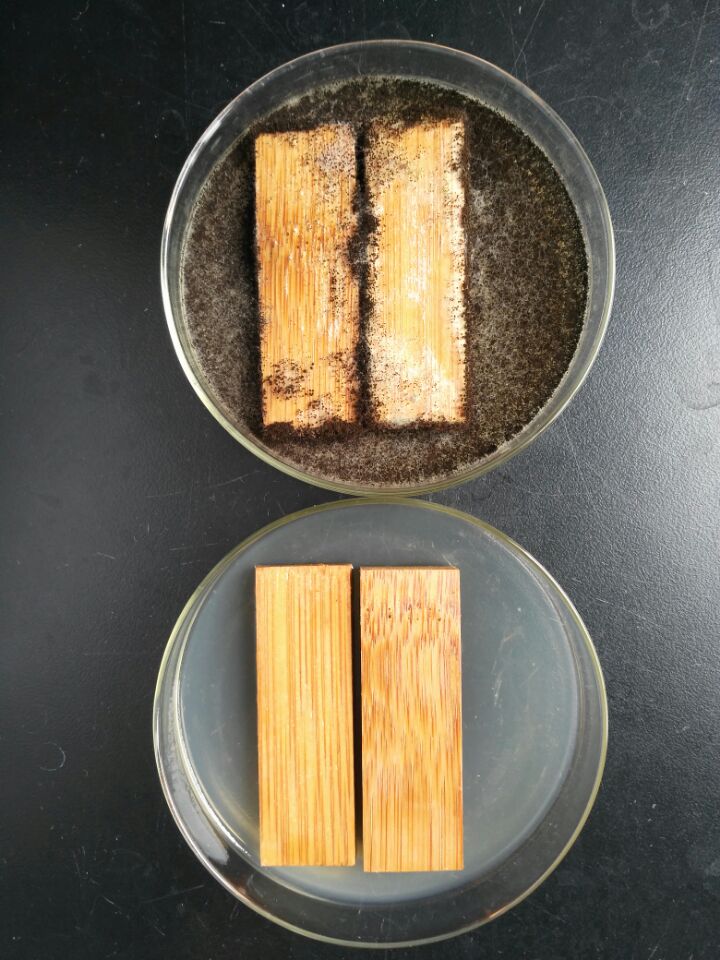 1541471447732283.jpg 木材防腐對比.jpg